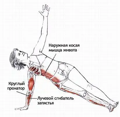 Классификация и уровень сложности Базовая поза в упоре одной рукой с - фото 145