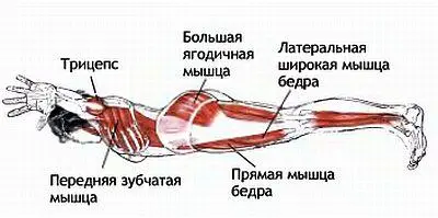 Классификация и уровень сложности Базовая поза в упоре одной рукой с - фото 146