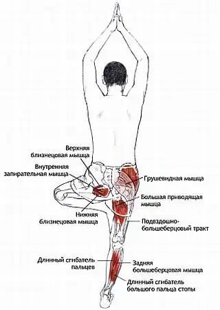 Классификация и уровень сложности Асимметричная стойка с удержанием равновесия - фото 19