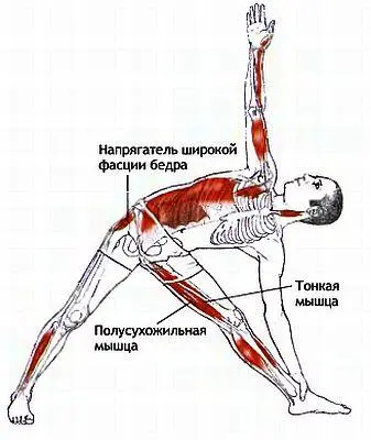 ПаривриттаТриконасана Поза обратного треугольника parivrtta поворот в - фото 25