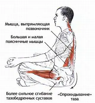 Если коленные суставы находятся выше уровня тазобедренных это приводит к - фото 37