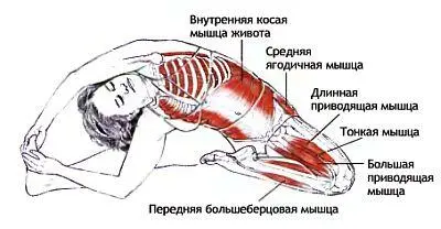 Классификация и уровень сложности Поза в положении сидя с боковым скручиванием - фото 44
