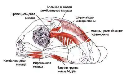 Классификация и уровень сложности Поза в положении сидя с боковым скручиванием - фото 45