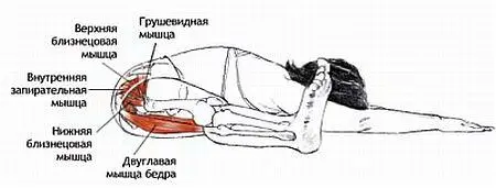 Классификация и уровень сложности Поза сидя в наклоне среднего уровня - фото 46