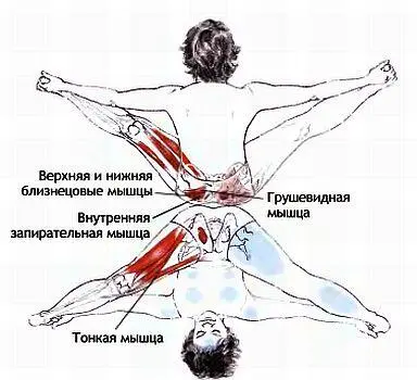 Препятствующие факторы и примечания На крестцовоподвздошный сустав в этой - фото 48