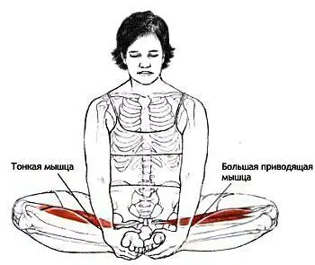 Классификация и уровень сложности Базовая поза для растяжки паховой области - фото 49