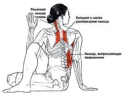 Матсиенда это также имя знаменитого учителя йоги который согласно легенде - фото 52