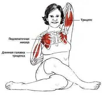 Классификация и уровень сложности Поза для проработки тазобедренных и плечевых - фото 55