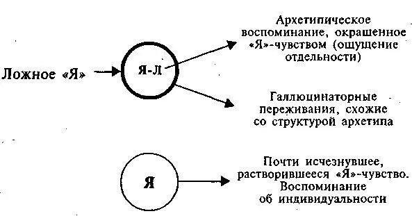 С точки зрения сегодняшней медицинской науки прием LSD мог спровоцировать - фото 25