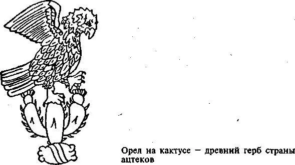 Совершенно особую роль в религиях ацтеков и всех индейцев Центральной Америки - фото 1