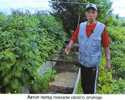 Не мешай огороду лопатой и плугом - фото 6