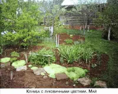 Не мешай огороду лопатой и плугом - фото 14