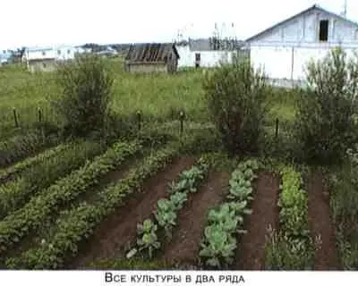 Не мешай огороду лопатой и плугом - фото 19