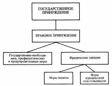 Схема 12 Виды правового принуждения Взятые в единстве рассматриваемые - фото 12