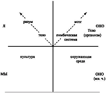 Рис 12 Значения Разума и Тела Однако тело может иметь и другое - фото 12