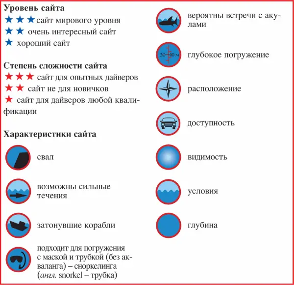 Дайвинг Красное море - фото 10