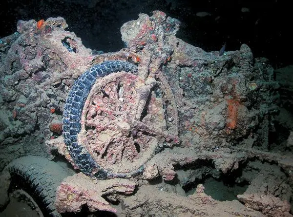 Thistlegorm Цистерна Судьба Чертополоха Тистлего рм анг л - фото 91
