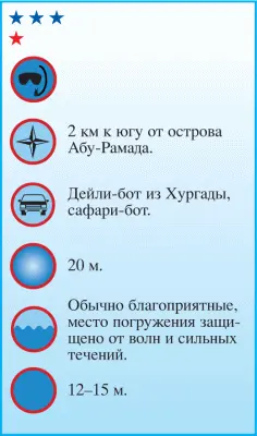 Овальный в плане риф едва касается поверхности воды C бота его хорошо видно - фото 106