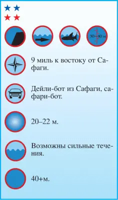 Овальный в плане риф находится в отдалении от берега и открыт ветрам и - фото 109