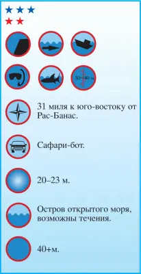 Два совершенно непохожих друг на друга острова Роки и Забаргад расположены в - фото 130