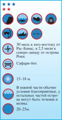 Остров редкостной для Красного моря красоты открывается подходящим к нему с - фото 131