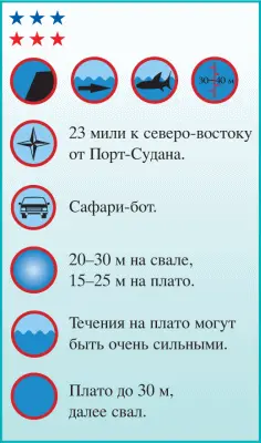 Многие знатоки считают южное плато ШаабРуми не только лучшим дайвсайтом - фото 165