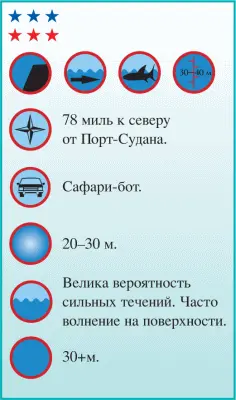 Если Ангарош одно из лучших в Судане мест для наблюдения за крупными - фото 178