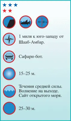 Место чье название поарабски звучит нахалат куасер знаменито по нескольким - фото 200