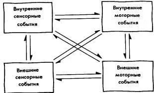 Рис25 Управление любой корпорацией фирмой телом человека требует - фото 25