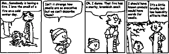 Рис 11 Выразимость и невыразимость обонятельного опыта Calvin and Hobbes - фото 2