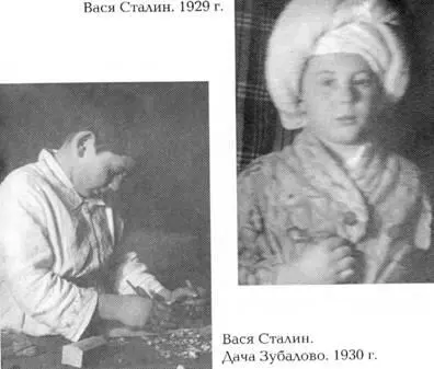 Как жил работал и воспитывал детей И В Сталин Свидетельства очевидца - фото 15