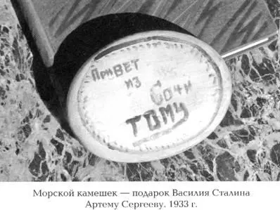 Как жил работал и воспитывал детей И В Сталин Свидетельства очевидца - фото 17