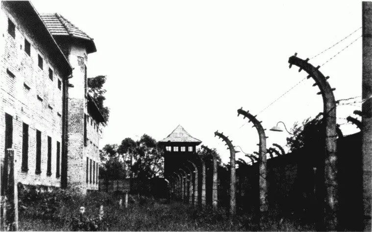 Освенцим Blok śmierti Открытка На обороте 20 окт 1967 Сегодня снова - фото 21