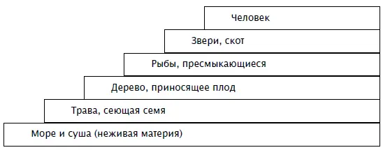 Схема 3 Этапы эволюции Вселенной согласно Книге Бытия Создание животного - фото 45