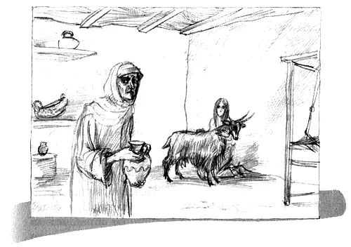 Полуденное солнце накалило камни не прикоснуться а не то пальцы обожжешь - фото 3