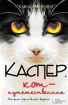 Сьюзен Финден - Каспер, кот-путешественник