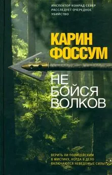 Карин Фоссум - Не бойся волков