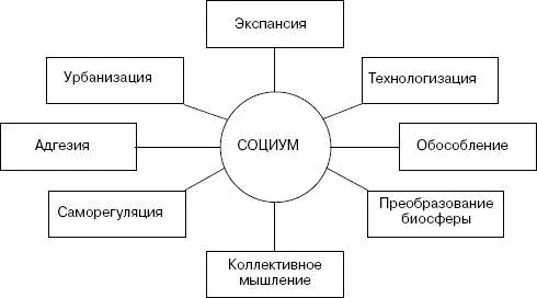 Несомненно урбанизация процесс прогрессивный поскольку создает предпосылки - фото 8