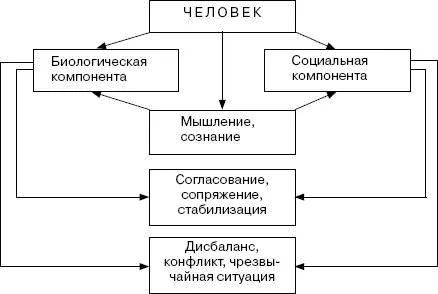 Резюме к содержанию раздела Человек как существо биологическое обладает всеми - фото 27