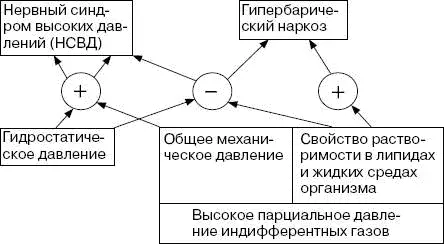 Таблица 6 Физиологические критерии определяющие вклад гидростатического - фото 47