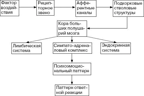 Вегетативные проявления реакции стресса выражаются в увеличении частоты - фото 58