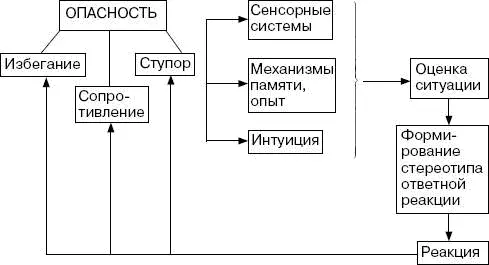 Анализируя механизмы стресса необходимо отметить что эмоциональная компонента - фото 59