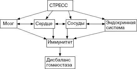 По восприимчивости сердечнососудистой системы к стрессу людей можно - фото 61