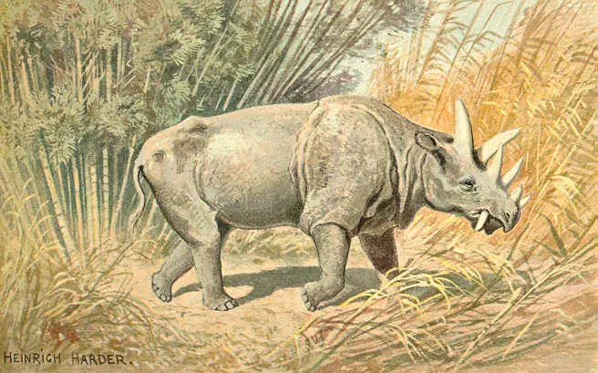 Диноцерас Dinoceras Переход к растительноядности независимо повторили - фото 20