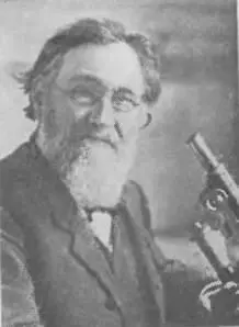 И И Мечников 18451916 И И Мечниковым вместе с Н Ф Гамалеей в 1886 г - фото 40