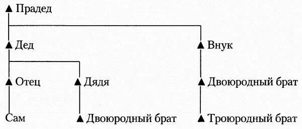 Патриархальная ирландская семья дервине и гелвине Треугольники означают - фото 9