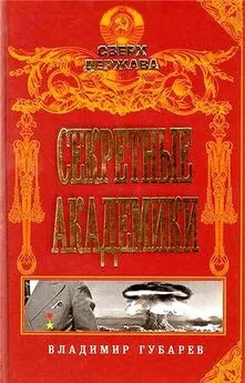 Владимир Губарев - Секретные академики