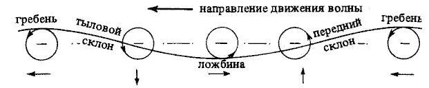 Рис 35 Орбитальное движение частиц в волне Основное направление движения на - фото 33