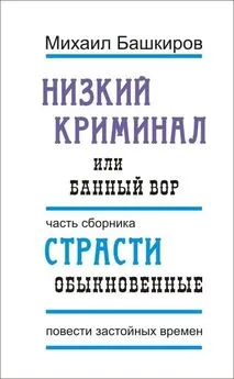 Михаил Башкиров - Низкий криминал, или Банный вор