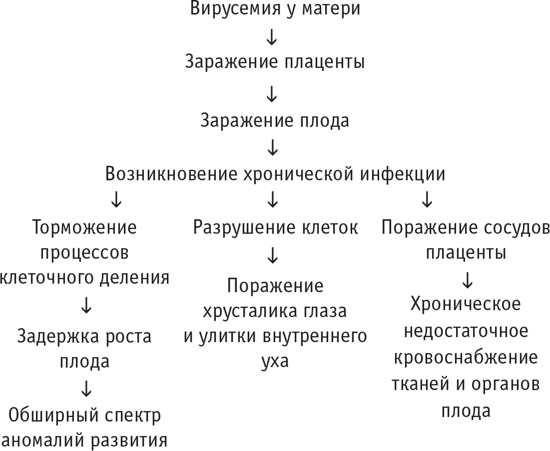 Насколько грозными могут быть встречи с данным заболеванием можно судить по - фото 25